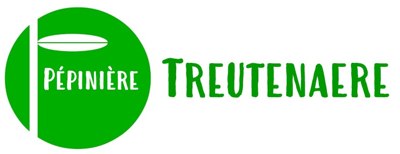 Pépinière Treutenaere